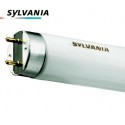 Sylvania T8 F18W G13 Luxline Plus 59cm 827, 830, 835, 840 Culot G13 Deluxe