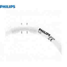Philips TL5 Circular 22W (MASTER)