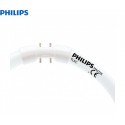 Philips TL5 Circular 40W (MASTER) 827, 830 et 840