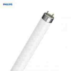 Philips TL-D Super 80 70W- 176,5cm (MASTER) 830, 840 Culot G13